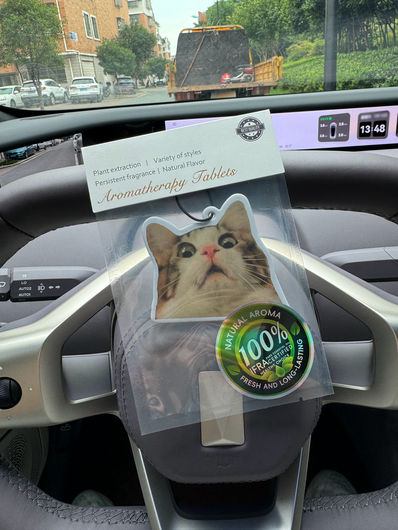 Surprised Shocked Cat Meme Car - Perfume And Fragrance Are Same review and price