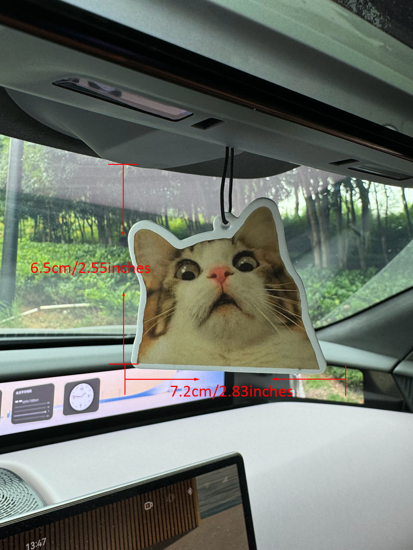 Surprised Shocked Cat Meme Car - Perfume And Fragrance Are Same review and price