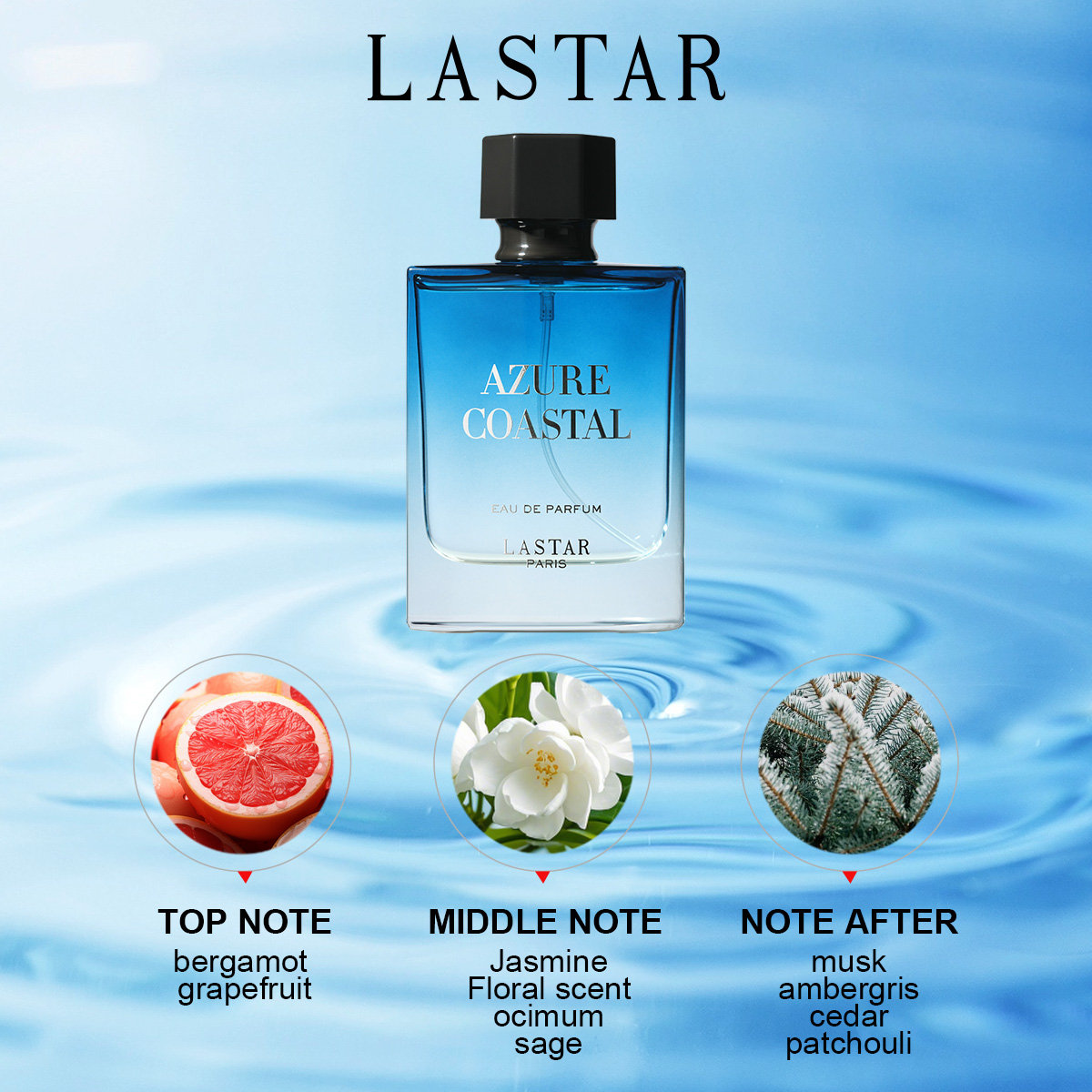 LASTAR Men Perfume, Two Bottle - Perfume Fragrance Bottle review and price