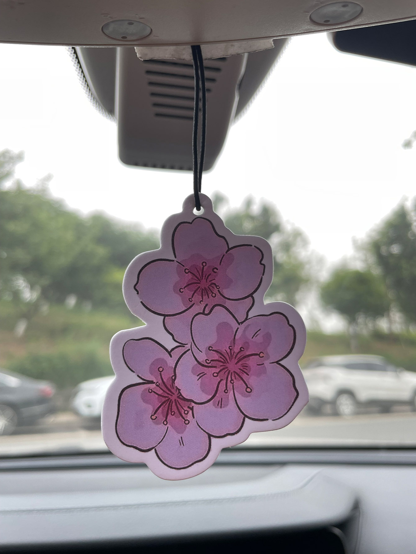Sakura/Freesia Fresh Scent Fiv - Perfume Room Fragrance review and price
