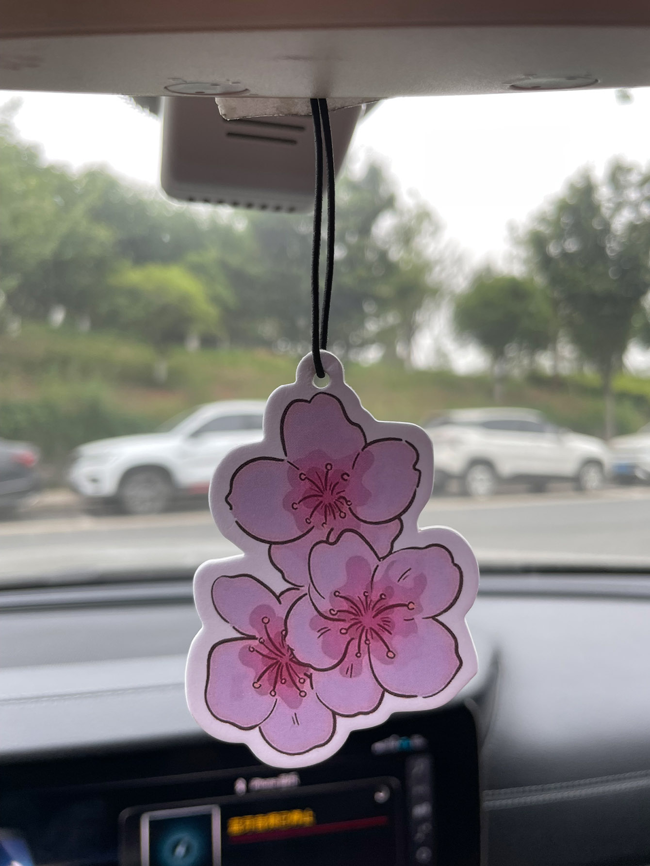 Sakura/Freesia Fresh Scent Fiv - Perfume Room Fragrance review and price